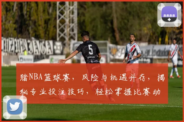 赌NBA篮球赛，风险与机遇并存，揭秘专业投注技巧，轻松掌握比赛动态，赢在起跑线