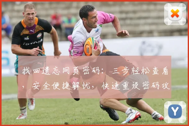 找回遗忘网页密码：三步轻松查看，安全便捷解忧，快速重设密码攻略，一网打尽