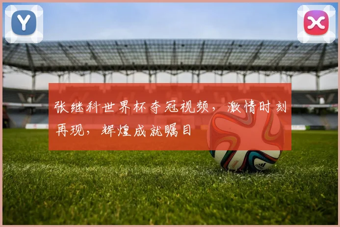 张继科世界杯夺冠视频，激情时刻再现，辉煌成就瞩目
