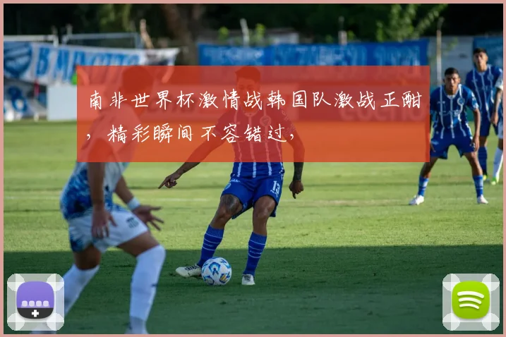 南非世界杯激情战韩国队激战正酣，精彩瞬间不容错过，